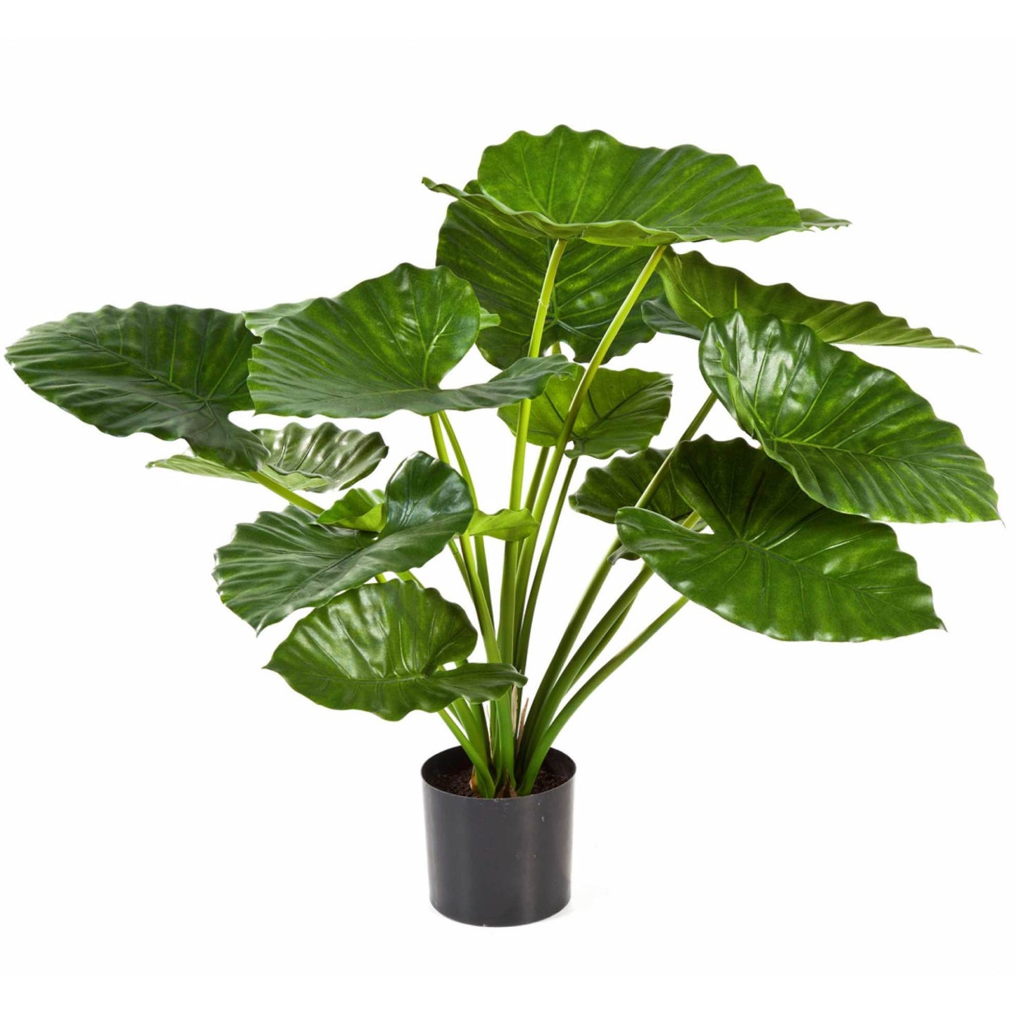 Alocasia Calidora umělá