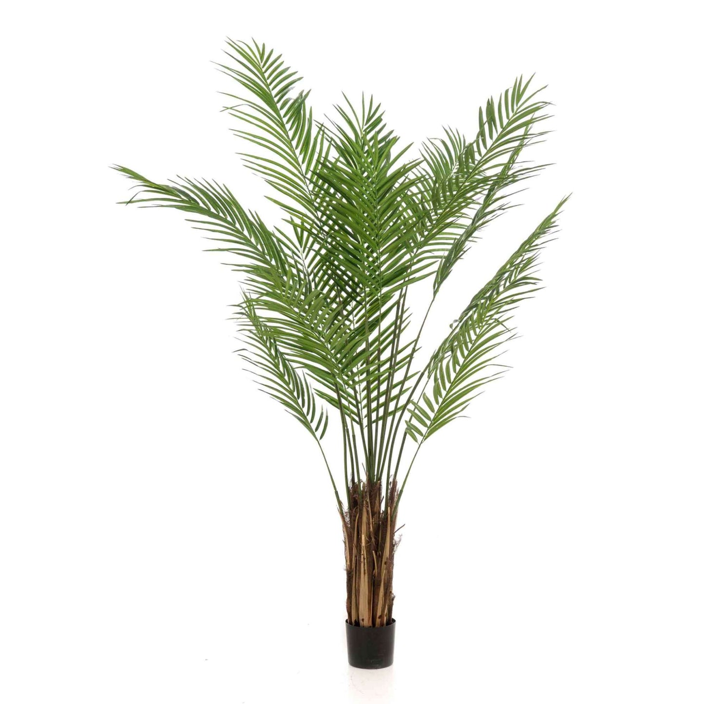 Areca umělá