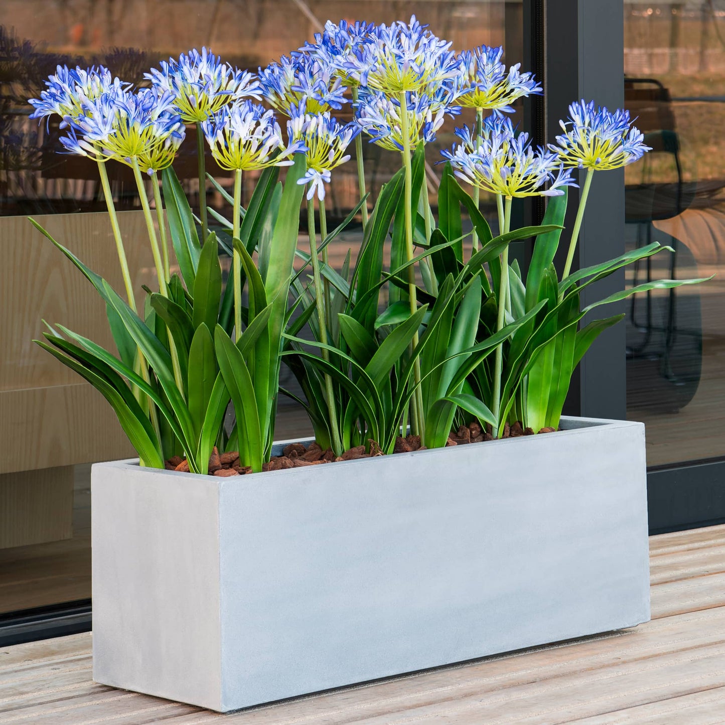 Argento Box Natural Grey