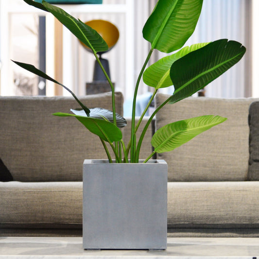 Argento Cube Natural Grey