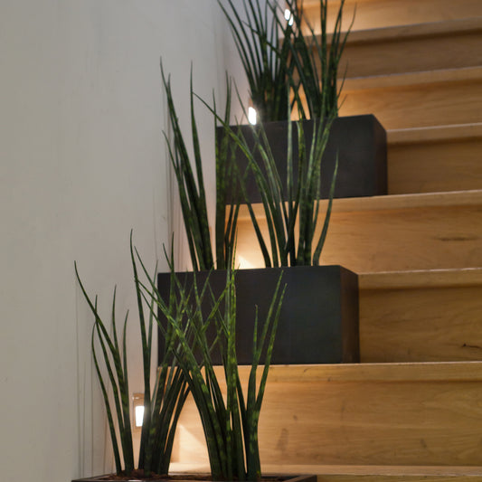 Balcony Black