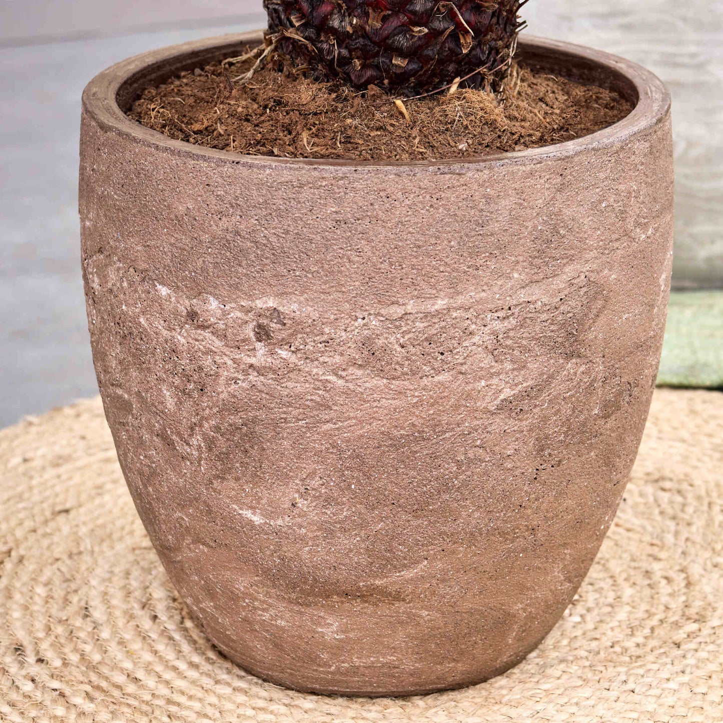 Baq Algar Couple Brown