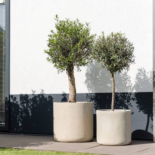 Cylinder Beige