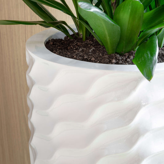 Baq Luxe Lite Glossy Breaker Partner White