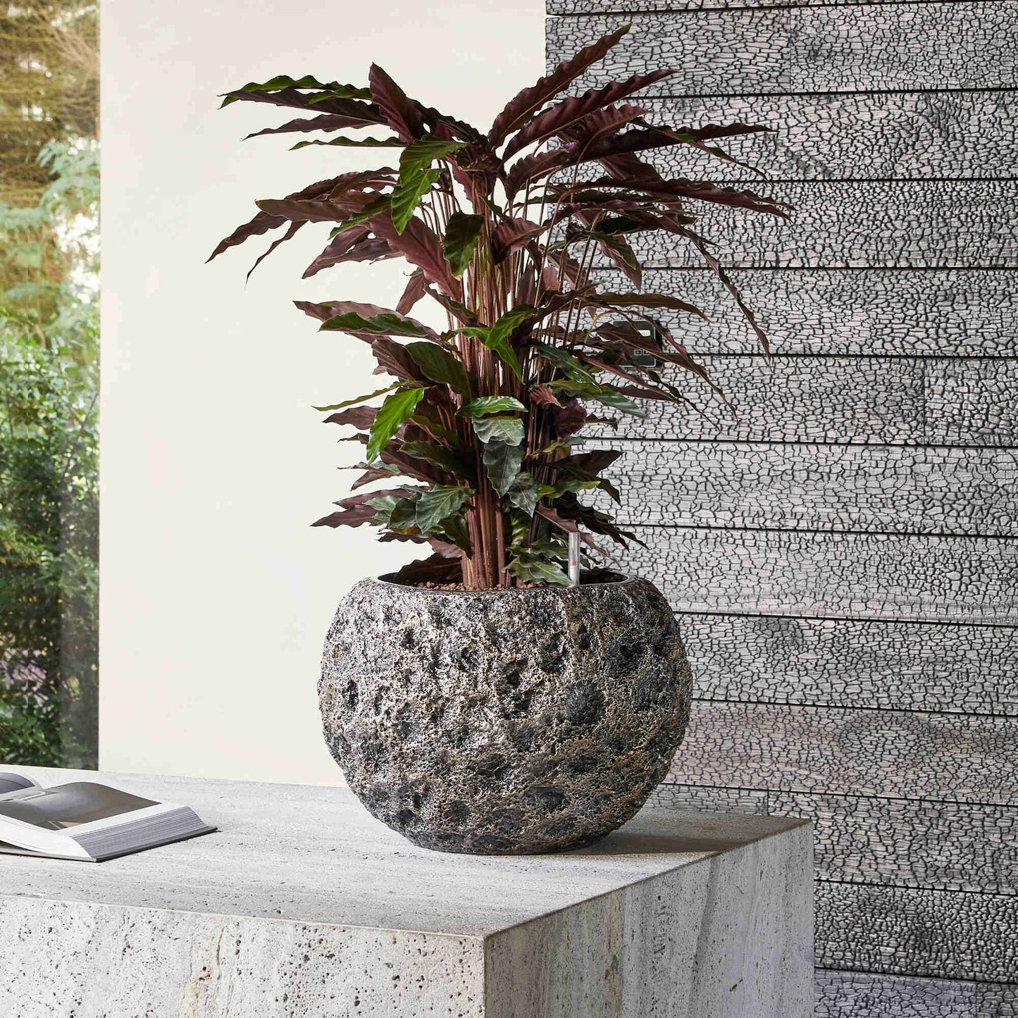 Baq Universe Moon Globe Bronze