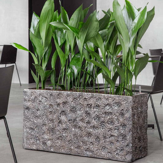 Baq Universe Moon Rectangle Bronze