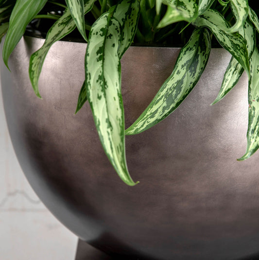 Baq Metallic Silver leaf Bowl Matt Coffee