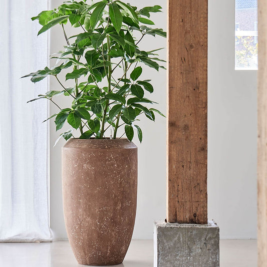 Baq Polystone Coated Plain Coppa Rock s vložkou