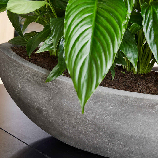 Baq Polystone Plain Boat Grey