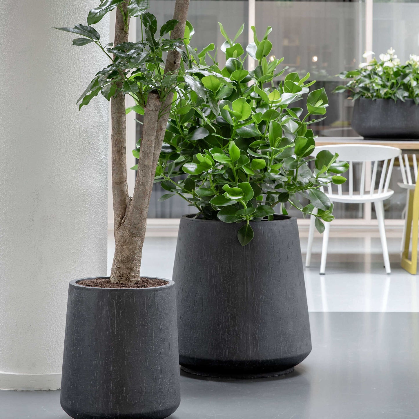 Darcy High Anthracite