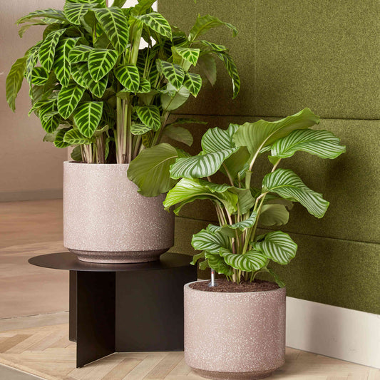 Baq Terrazzo Cylinder Mocha