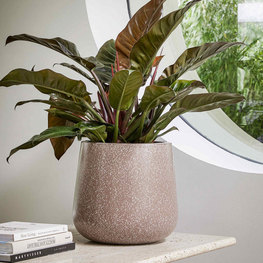 Baq Terrazzo Darcy Mocha