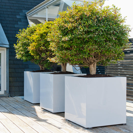 Block Glossy White
