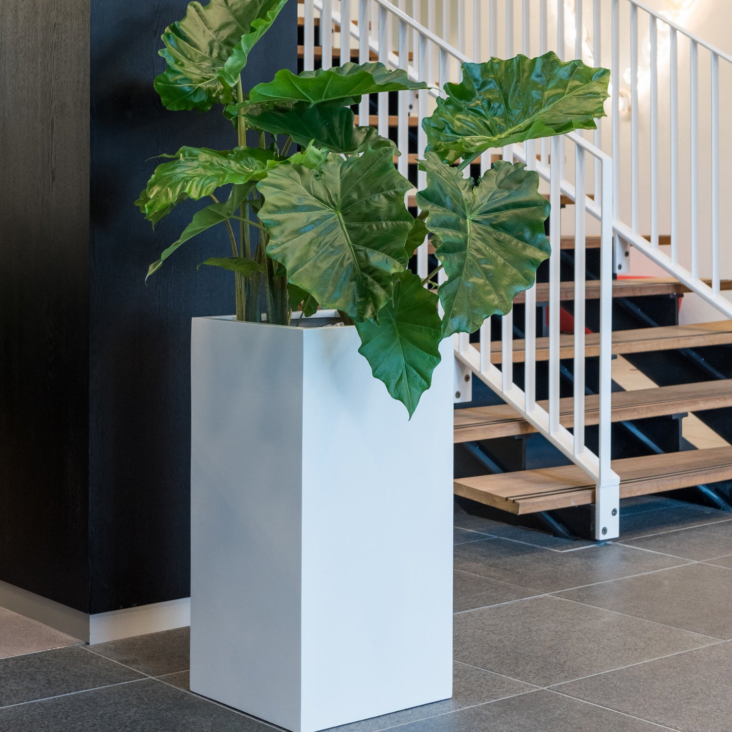 Bouvy Matte White