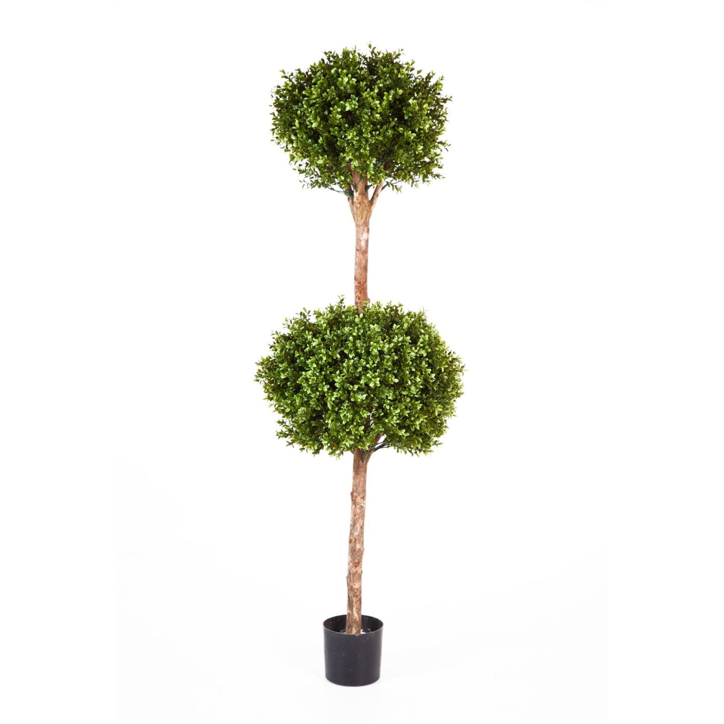Buxus umělý