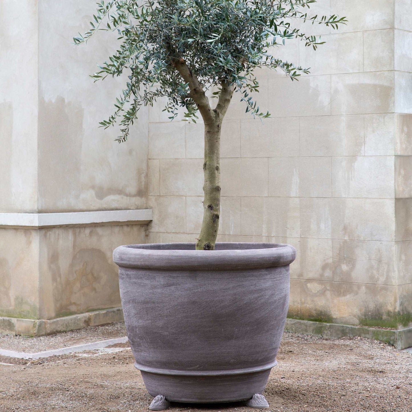 Campana RAW Grey