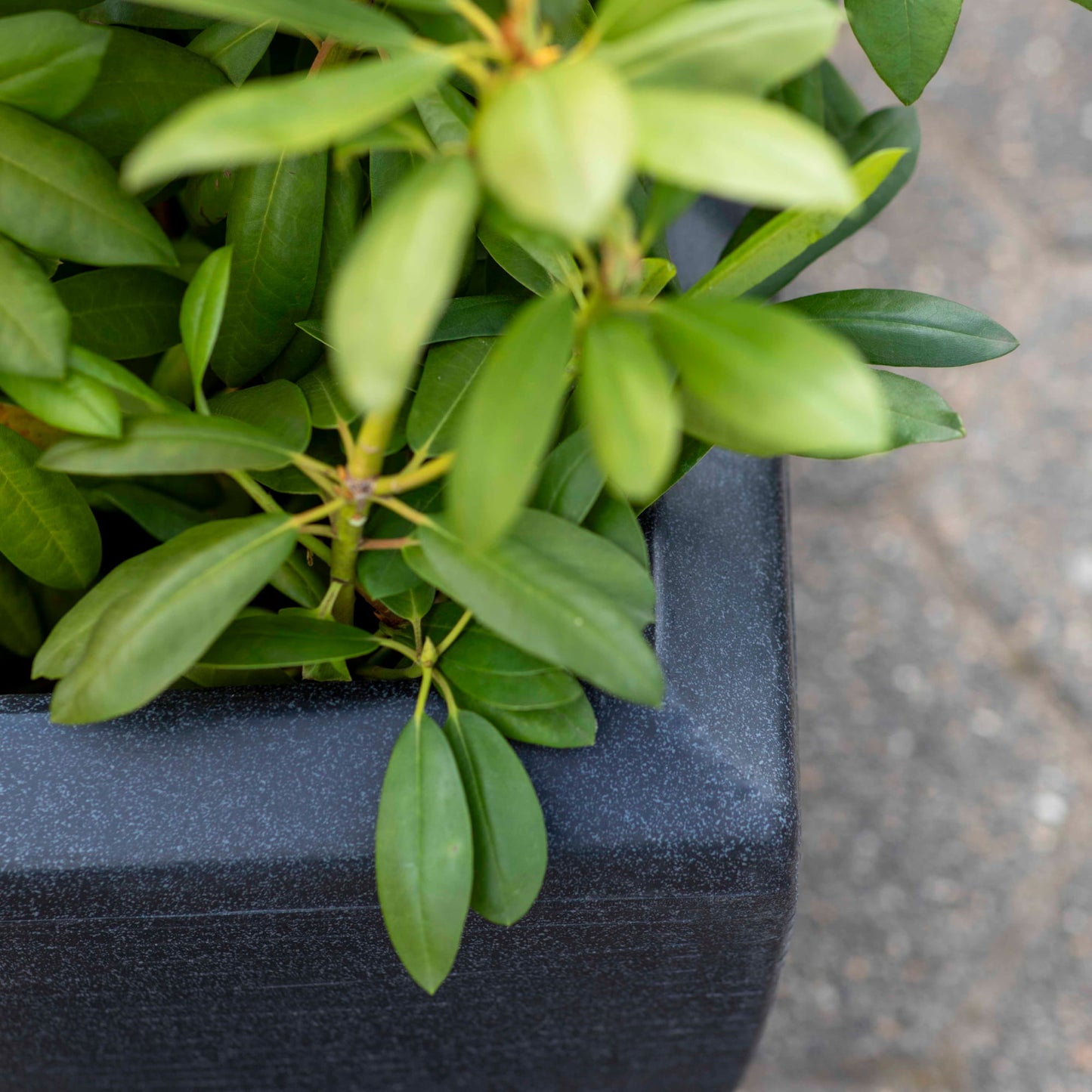 Capi Arc Granite Planter Rectangle Black