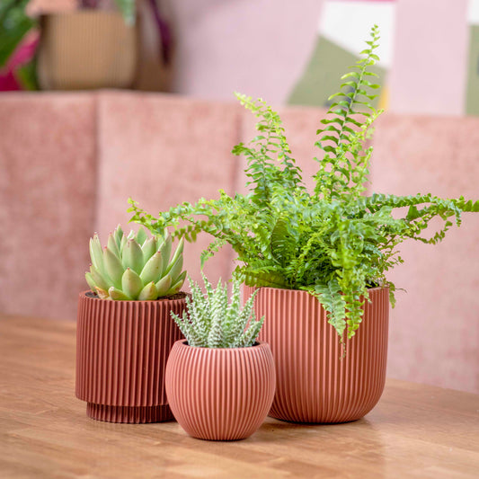 Capi Nature Groove Made With Planter Ball Metallic Copper