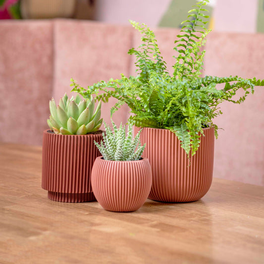 Capi Nature Groove Made With Planter Ball Peachy Fuzz