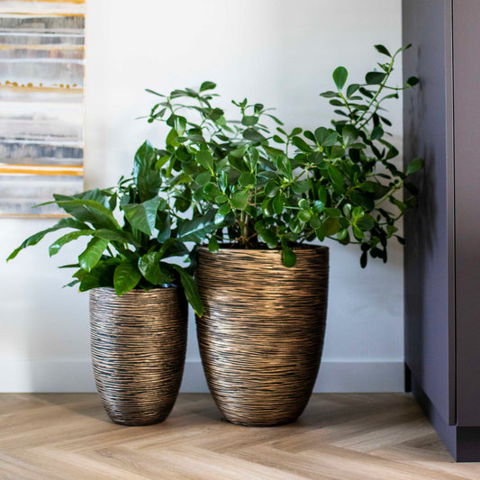 Capi Nature Rib NL Vase Elegant Low Black Gold