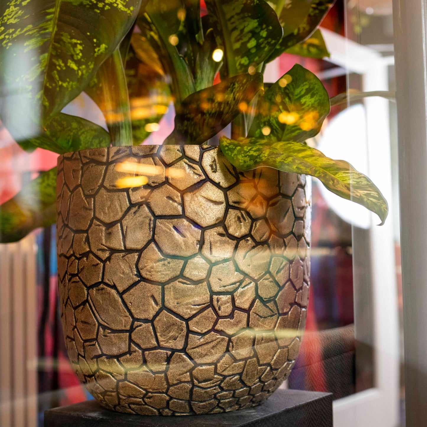 Capi Nature Clay NL Planter Ball Black Gold
