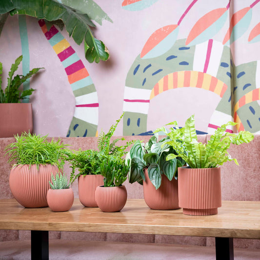 Capi Nature Groove Special Planter Ball Pink