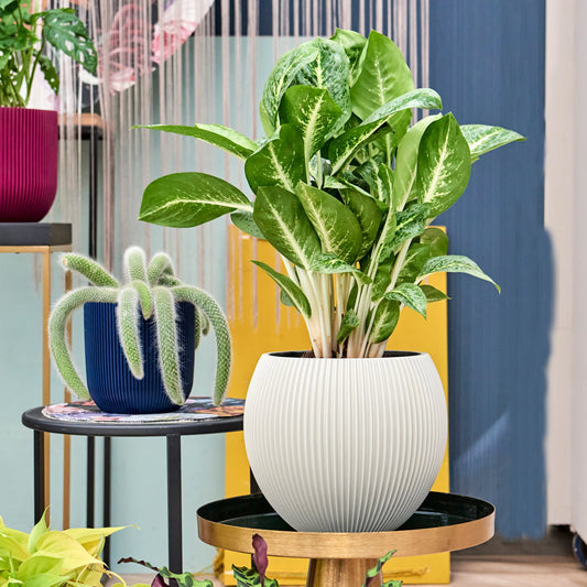 Capi Nature Groove Vase Ball Ivory