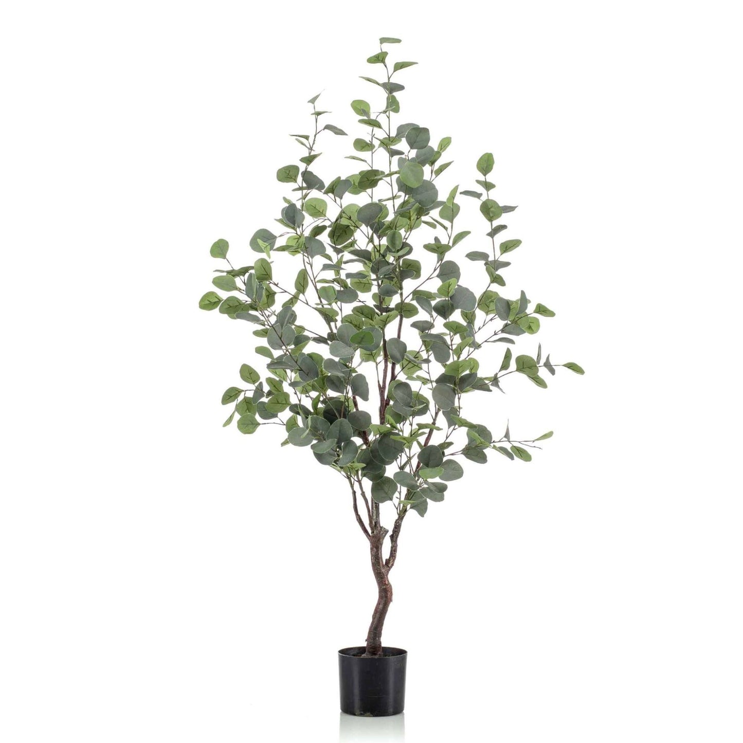 Eucalypthus umělý