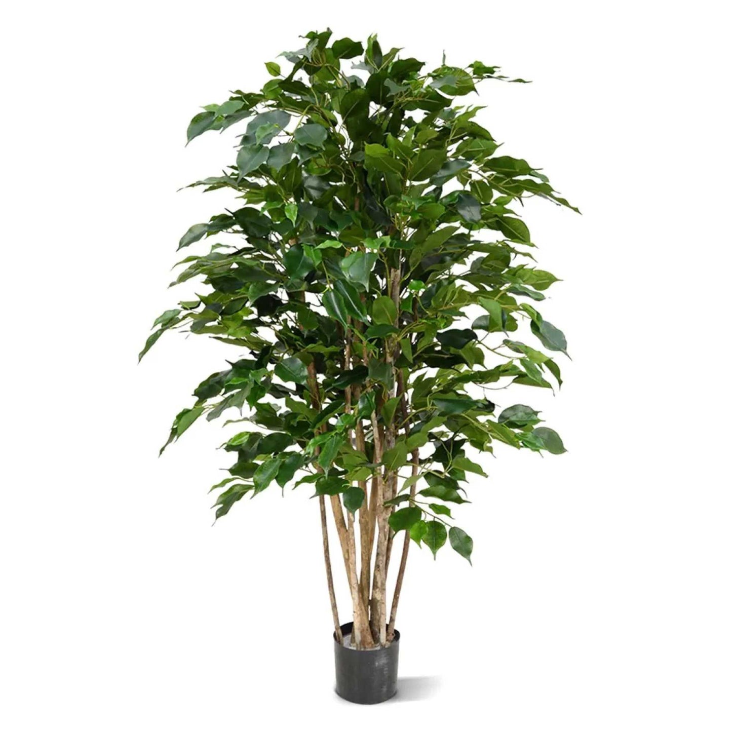 Ficus Benjamina umělý