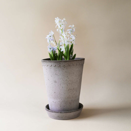 Helena RAW Grey Tall