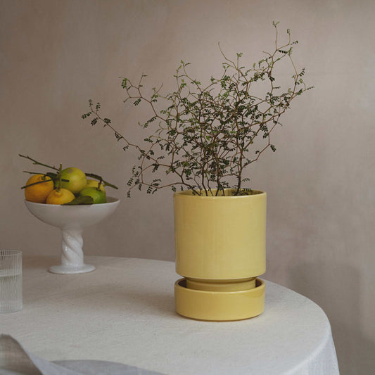 Hoff GLAZED Pale Yellow