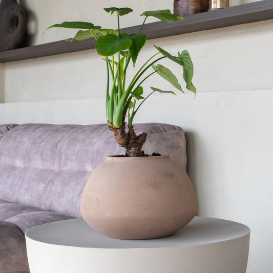 Imara Clay Washed
