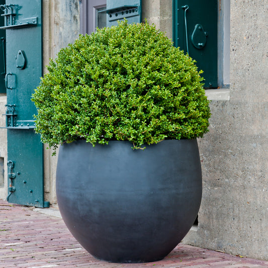 Jumbo Orb Grey