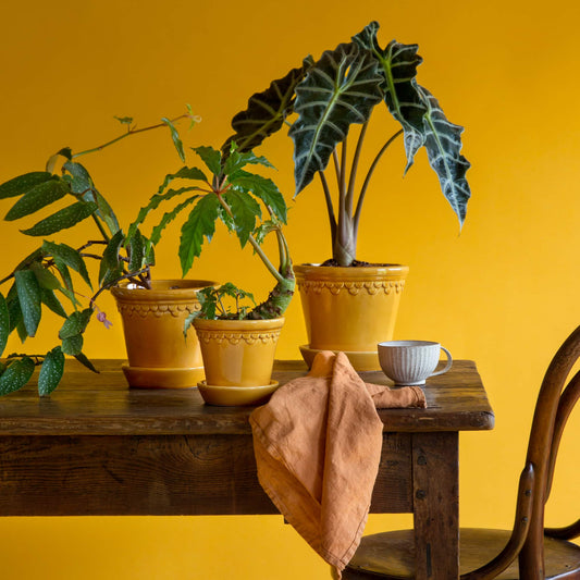 Københavner GLAZED Amber Yellow