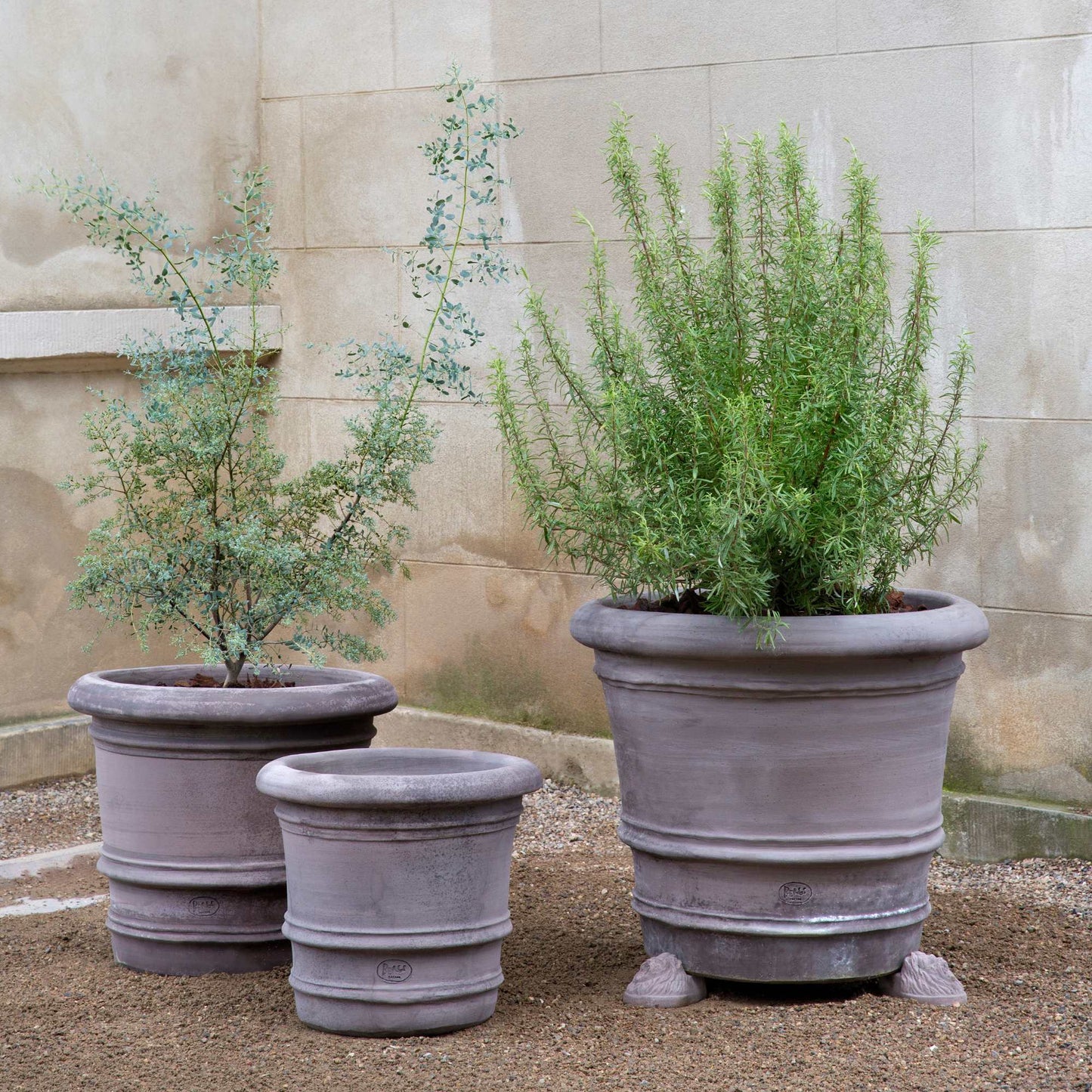 Lucca RAW Grey