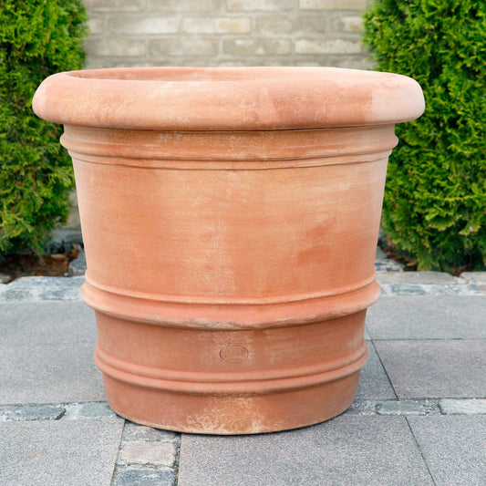 Lucca RAW Rosa