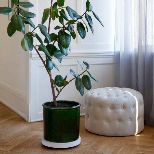 Modena GLAZED Emerald Green