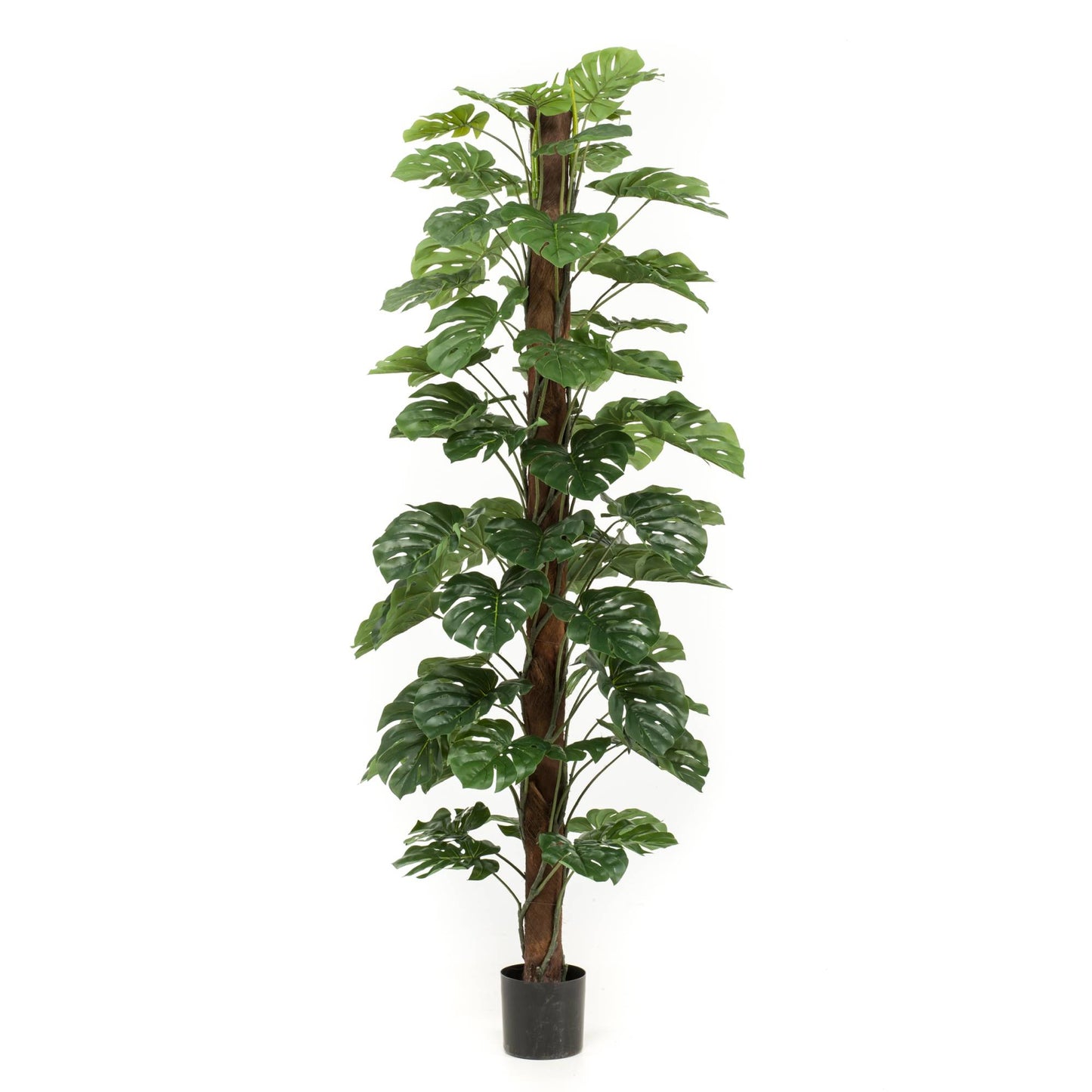 Monstera umělá