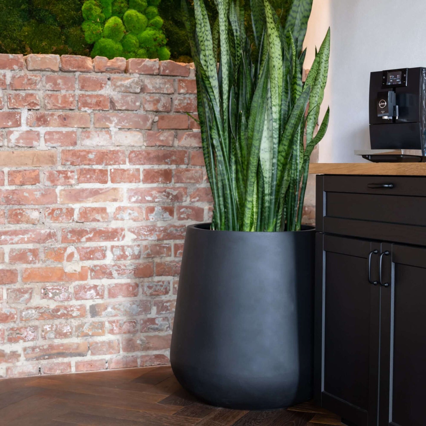 Pax Black
