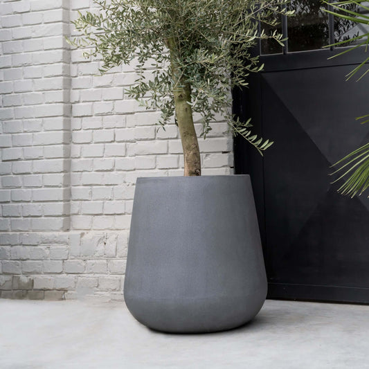 Pax Grey