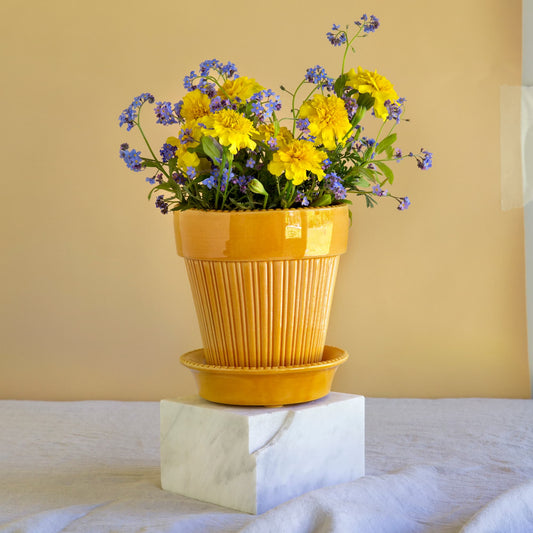 Simona GLAZED Amber Yellow