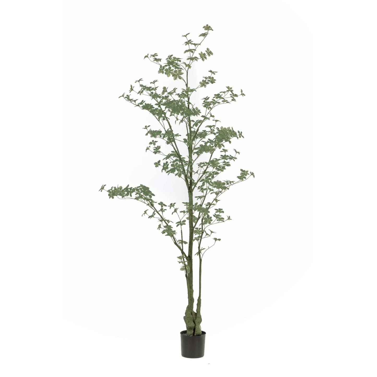 Tropaeolum umělá