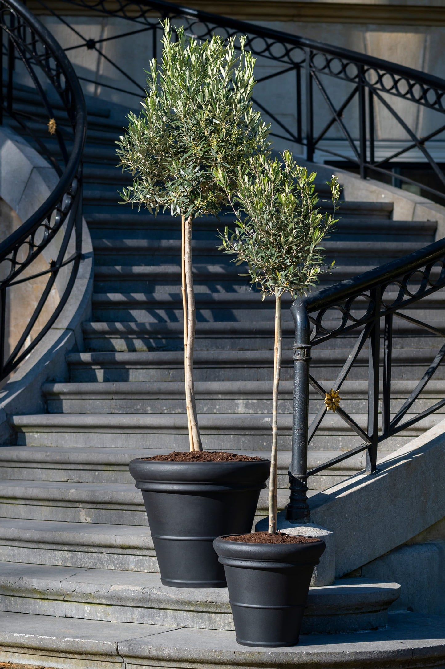 Bucket Low Classic Black
