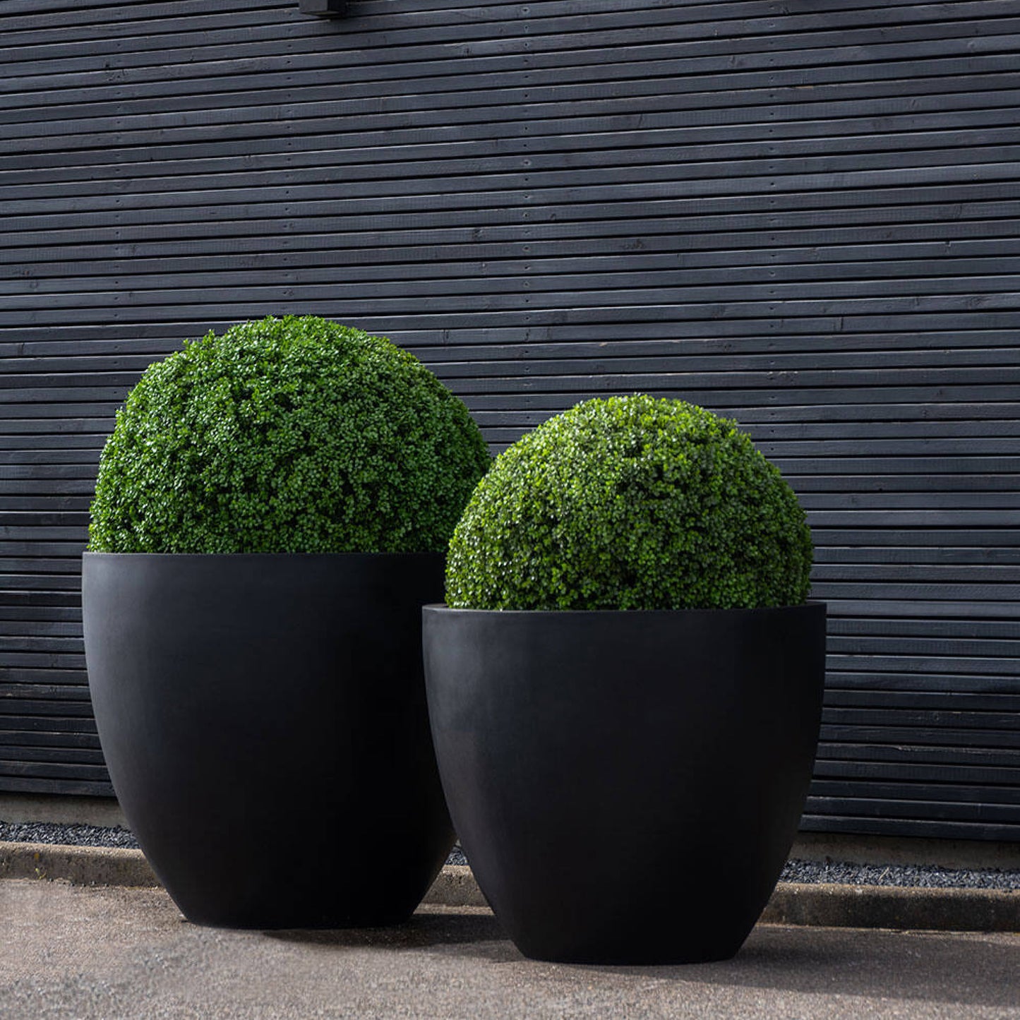Buxus koule umělý