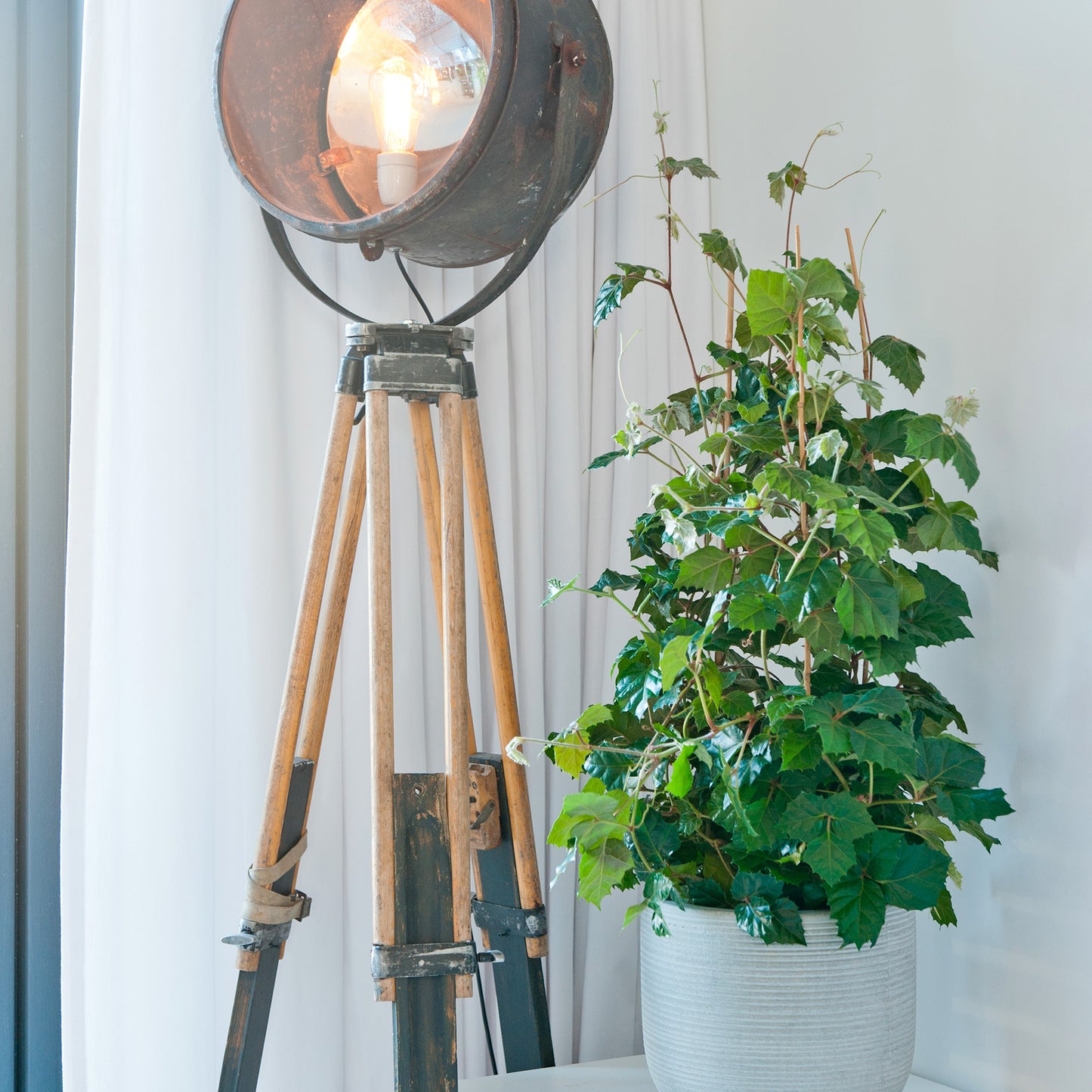 Cody Light Grey (horiz. ridg.)