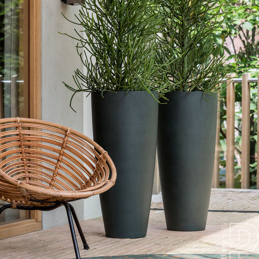 Dax Pine Green