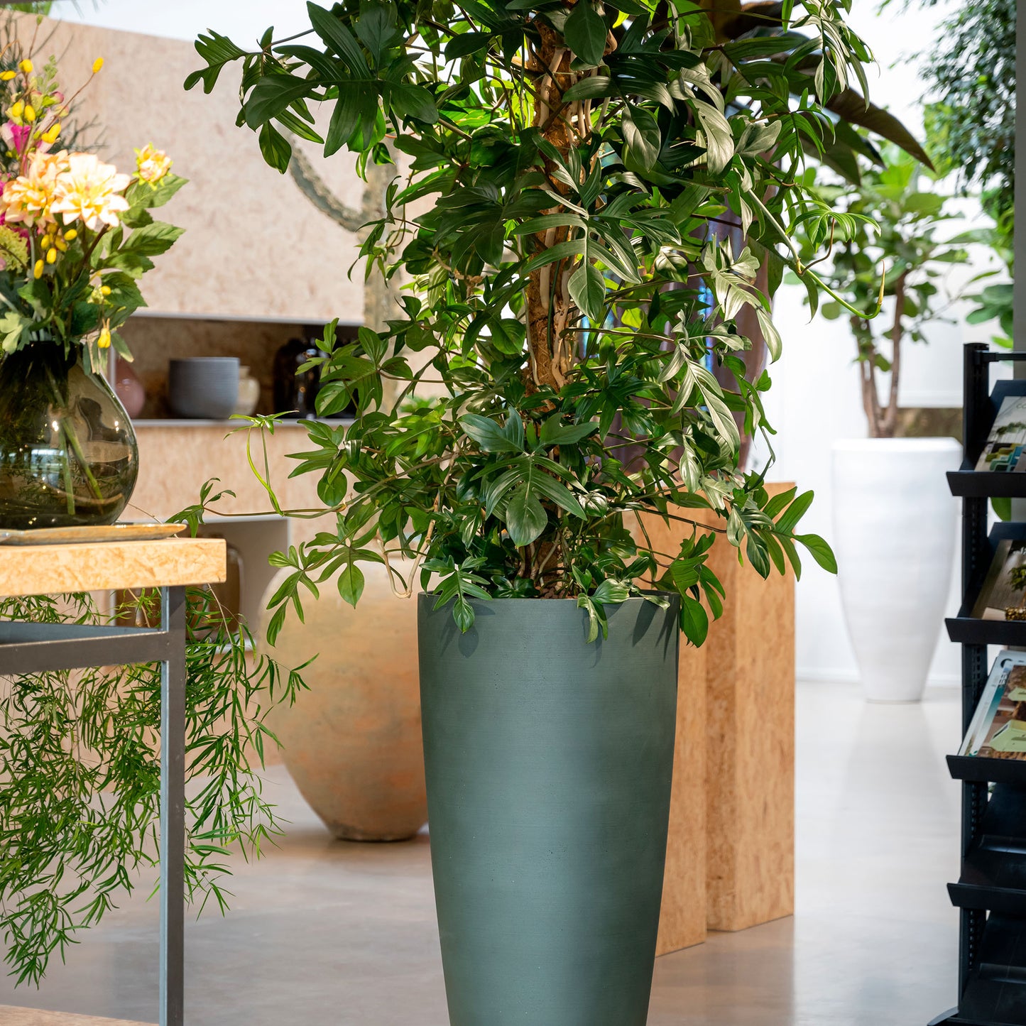Dax Pine Green