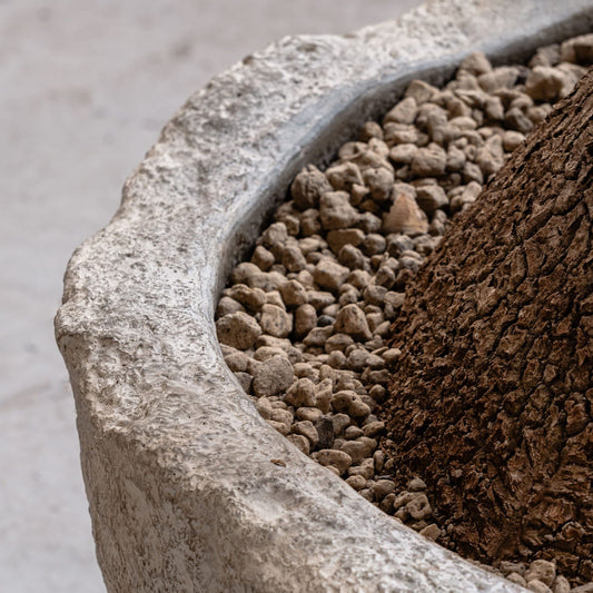 Dune Fossil Sand