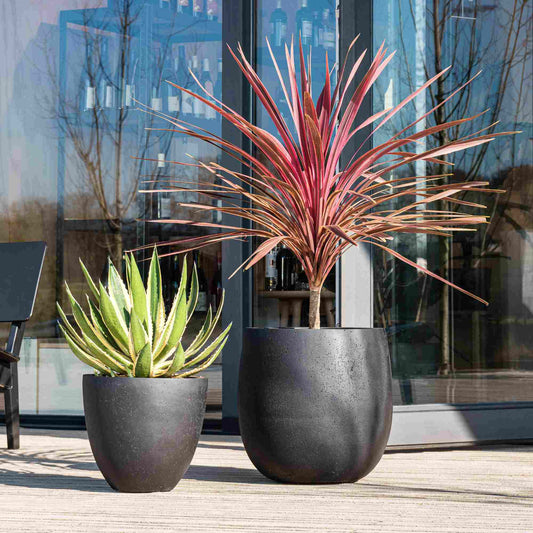 Grigio Egg Pot Anthracite