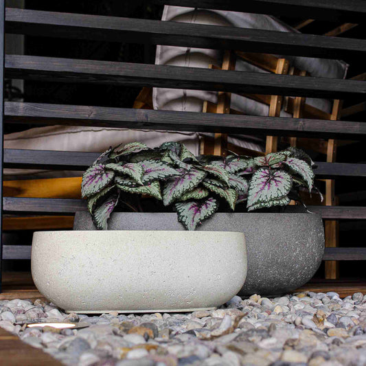 Grigio Longtail 45 Antique White